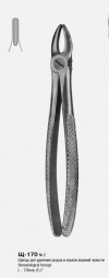 Щипцы для удаления резцов и клыков верхней челюсти № 2 Щ-170 П